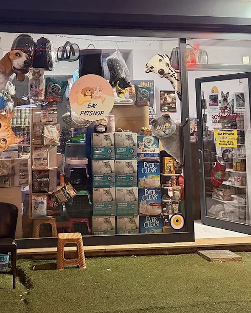 Bay Petshop'un akşam ışıklı vitrini ve girişi